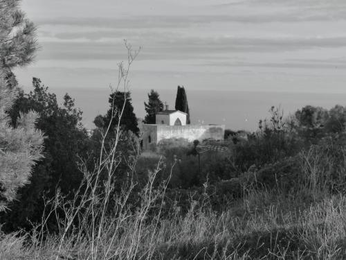 Caminant la Muntanya Pelada - Gretel Broyn